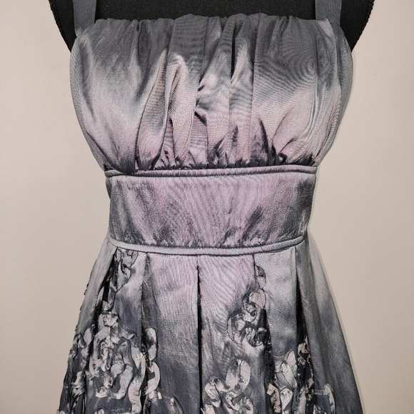 NWT R & M Richards Iridescent Silver Embroidered Fit & Flare Midi Dress Sz. 6 - Picture 5 of 14